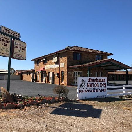 Stockman Motor Inn Narromine Kültér fotó